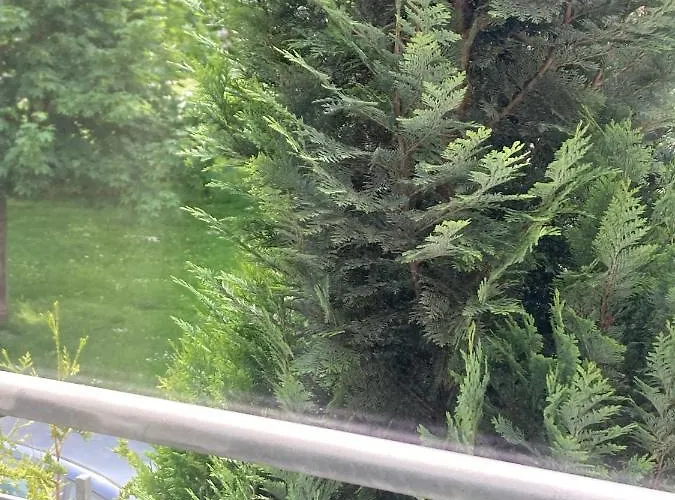 Toll Mit Privatem Eingang Free Parking Slbst Check-in Montauer 30 Zone Ruhig * Duisburg